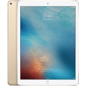 iPad Pro 12.9 Inch Cargadores
